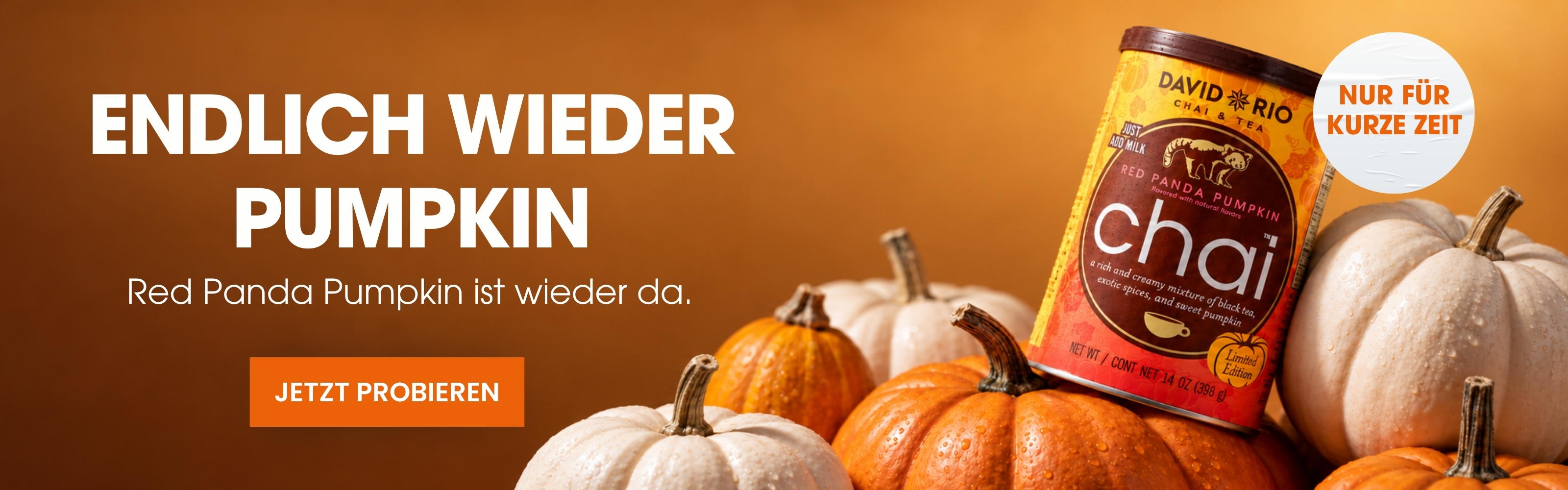 Banner Website DR Desktop neu
