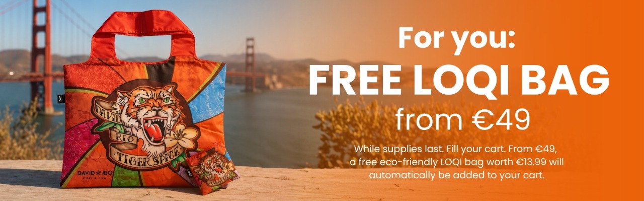 free LOQI shopping bag for shooping cart at 49 €